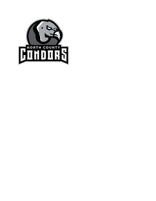 Condor Logo 